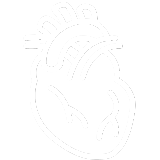 Cardiovascular_icon